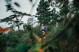 BIB: 
                            <button type="button" onclick="openModal(25258459)" class="btn btn-primary btn-sm float-right btn-popup" data-toggle="modal" data-target=".modal-high-quality">
                        <i class="fas fa-shopping-cart"></i> Add to Cart
                    </button>
                                            <button type="button" onclick="isThisMe(25258459, true)" class="btn btn-success btn-sm float-right btn-popup btn-isme hidden" data-toggle="tooltip" data-placement="bottom" title="นี่คือรูปของคุณใช่ไหม คลิกที่นี่เพื่อเอาเข้าอัลบั้ม">
                        <i class="fas fa-plus"></i> Add to album
                    </button>
                    <button type="button" onclick="isThisMe(25258459, false)" class="btn btn-warning btn-sm float-right btn-popup btn-isnotme hidden">
                        <i class="fas fa-ban"></i> Remove from album
                    </button>